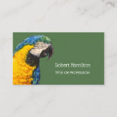 Blauw en gouden ara waterverf schilderij visitekaartje (Voorkant)