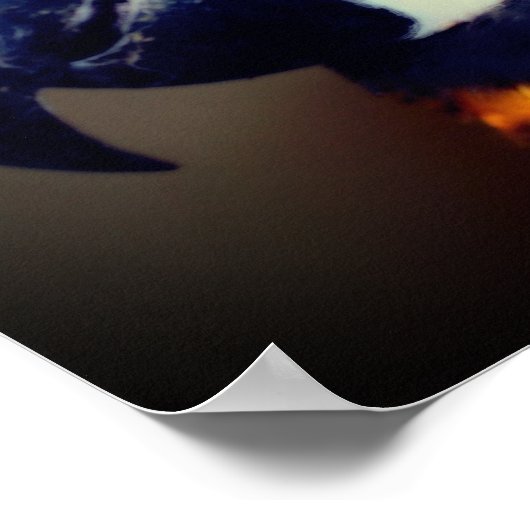 Blauw en gouden papegaai poster (Hoek)