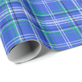 Blauw en groen geplakt cadeaupapier (Rol Hoek)