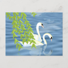 Blauw en groen paar zwanen op het meer briefkaart