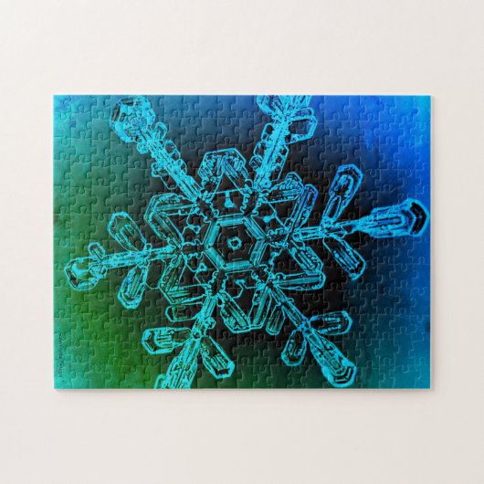 Blauw en groen Snowflake Foto Jigzaag Puzzle Legpuzzel (Horizontaal)