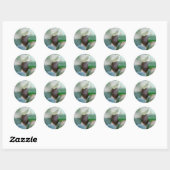 Blauw en Groen Zee Ronde Sticker (Vel)