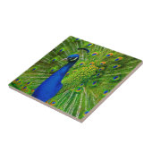 BLAUW EN GROENE PEACOCK CERAMIC TEGEL TEGELTJE (Zijkant)