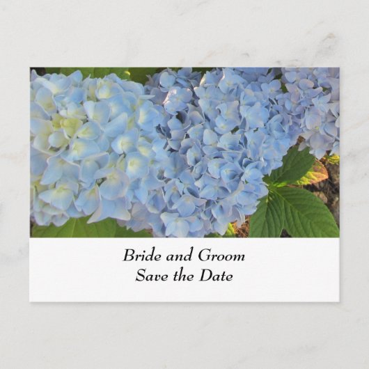 Blauw en mauve trouw Hydrangea Aankondigingskaart (Voorkant)