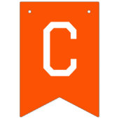 Blauw en Oranje Gefeliciteerd Afstuderen Vlaggetjes (Eerste vlag)