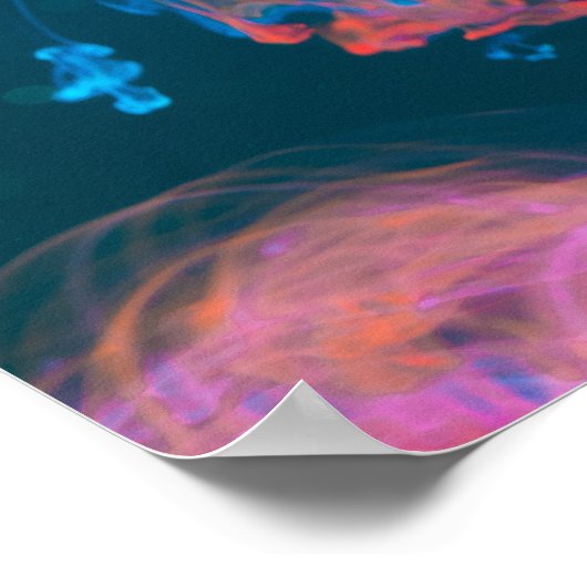 BLAUW EN ORANJE ROOK POSTER (Hoek)