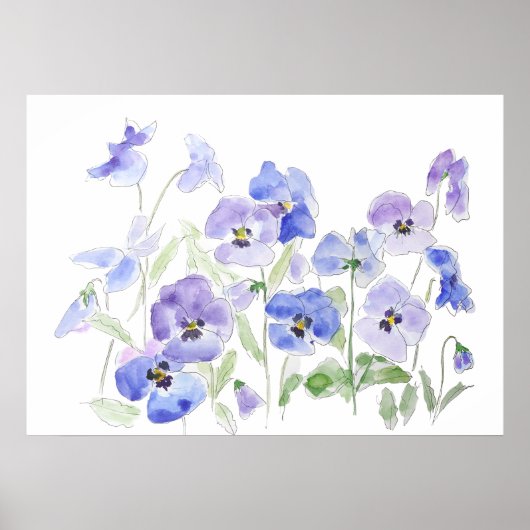 Blauw en paarse Pansy waterverf en inkt Poster (Voorkant)