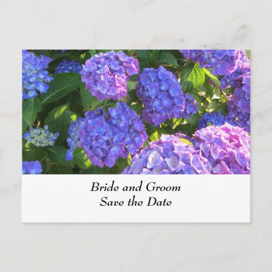 Blauw en Paarse Trouw Hydrangea's Aankondigingskaart (Voorkant)