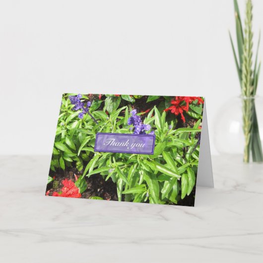 Blauw- en rode salvia - Hartelijk dank Kaart (Voorkant)