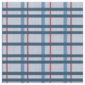 Blauw en rood geruite stof (Close Up)