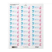 Blauw en Roze Baby Gender Onthullen Partij Rookbom Etiket (Full Sheet)