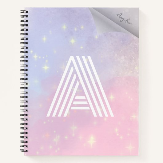 Blauw en roze borstel knipoogje-knipoog notitieboek (Voorkant)