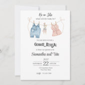 Blauw en Roze Genderonthulling Uitnodiging (Voorkant)