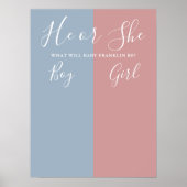 Blauw en roze geslacht onthullen stembord poster (Voorkant)