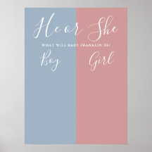 Blauw en roze geslacht onthulling stemmen bord