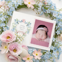 Blauw en Roze Grandmillennial Lint Crest Baby 