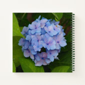  Blauw en Roze Hydrangea Floral Foto Notitieboek (Achterkant)