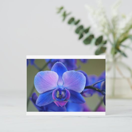 Blauw en roze orchidee briefkaart (Staand voorkant)