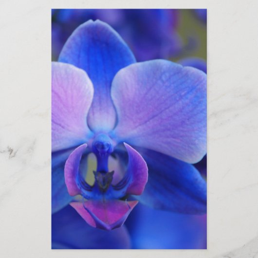 Blauw en roze orchidee briefpapier (Voorkant)