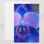 Blauw en roze orchidee briefpapier (Voorkant / Achterkant)