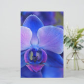 Blauw en roze orchidee briefpapier (Staand voorkant)