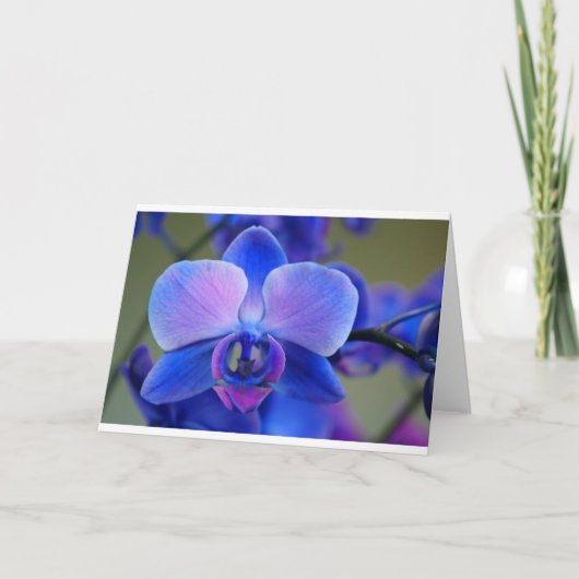 Blauw en roze orchidee feestdagen kaart (Voorkant)
