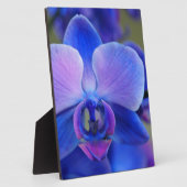 Blauw en roze orchidee fotoplaat (Zijkant)