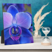 Blauw en roze orchidee fotoplaat (Zijkant)