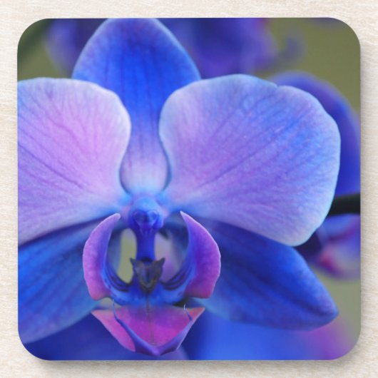 Blauw en roze orchidee onderzetter (Voorkant)