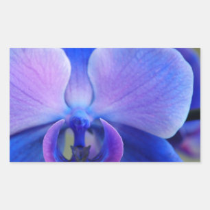 Blauw en roze orchidee rechthoekige sticker