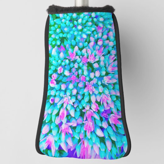 Blauw en warm roze Succulent Sedum Flowers Detail Golfheadcover (Draai 90)