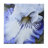 Blauw en Wit Baardiris Bloemstuk Tegeltje (Voorkant)