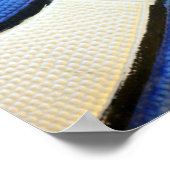 Blauw en wit Basketball Poster (Hoek)