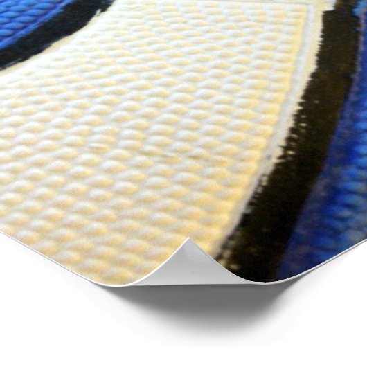 Blauw en wit Basketball Poster (Hoek)