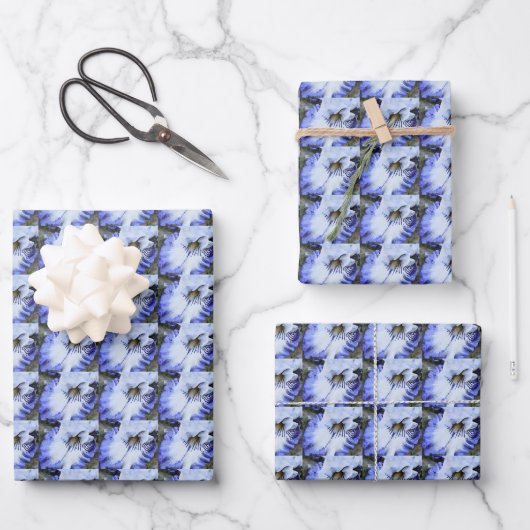 Blauw en wit Bearded Iris Bloemen Patroon Inpakpapier Vel (Voorkant)