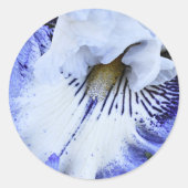 Blauw en wit Bearded Iris Floral Ronde Sticker (Voorkant)