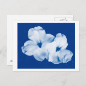 Blauw en wit briefkaart (Voorkant / Achterkant)