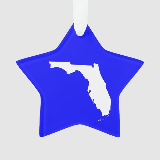 Blauw en Wit Florida Ornament (voorkant)