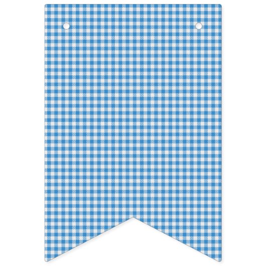 Blauw en wit Gecontroleerde Pset. Vlaggetjes (Eerste vlag)