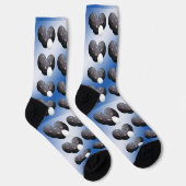 Blauw en wit, gelanceerde Bowls sokken (Rechts)