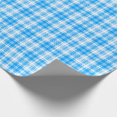 Blauw en wit geruit inpakpapier (Hoek)