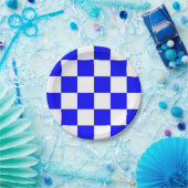 Blauw en Wit Geruit Papieren Bordje (Feest)