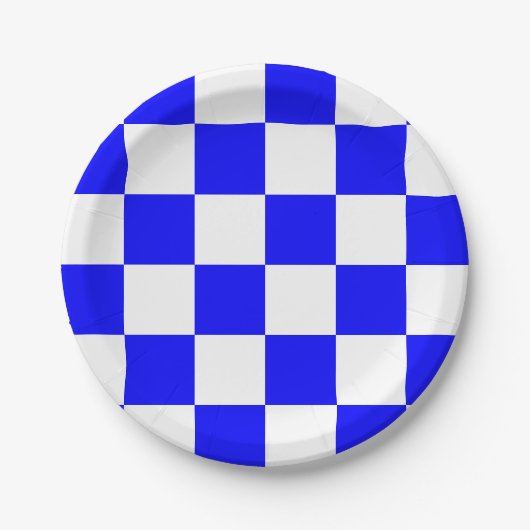 Blauw en Wit Geruit Papieren Bordje (Voorkant)