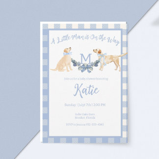 Blauw en Wit Gingham Baby shower Invitation Kaart