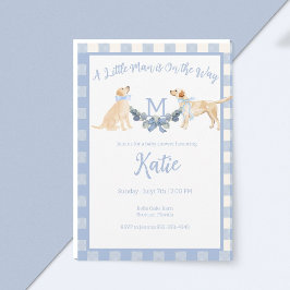 Blauw en Wit Gingham Baby shower Invitation Kaart