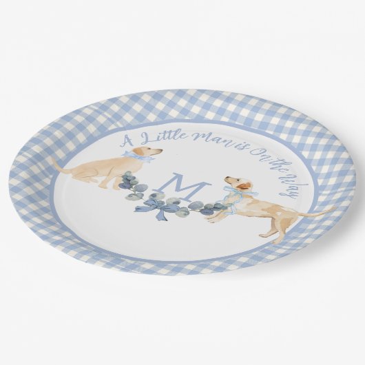 Blauw en Wit Gingham Baby shower Welkomstbord Papieren Bordje (Gekanteld)