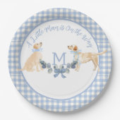 Blauw en Wit Gingham Baby shower Welkomstbord Papieren Bordje (Voorkant)