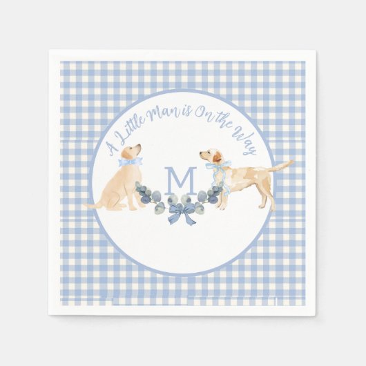 Blauw en Wit Gingham Baby shower Welkomstbord Servet (Voorkant)