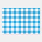 Blauw en wit Gingham Check Plaid Inpakpapier Vel (Voorkant 3)