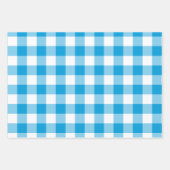 Blauw en wit Gingham Check Plaid Inpakpapier Vel (Voorkant)